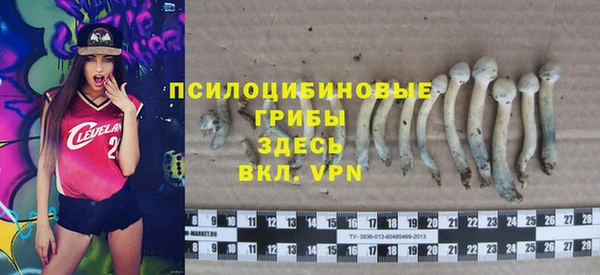 меф Алзамай