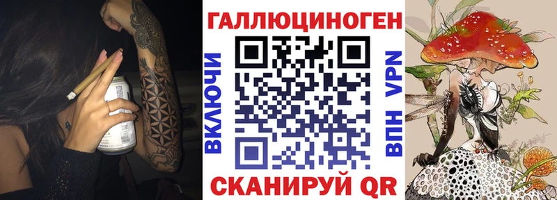 MEGA как зайти  Выкса  Псилоцибиновые грибы прущие грибы 